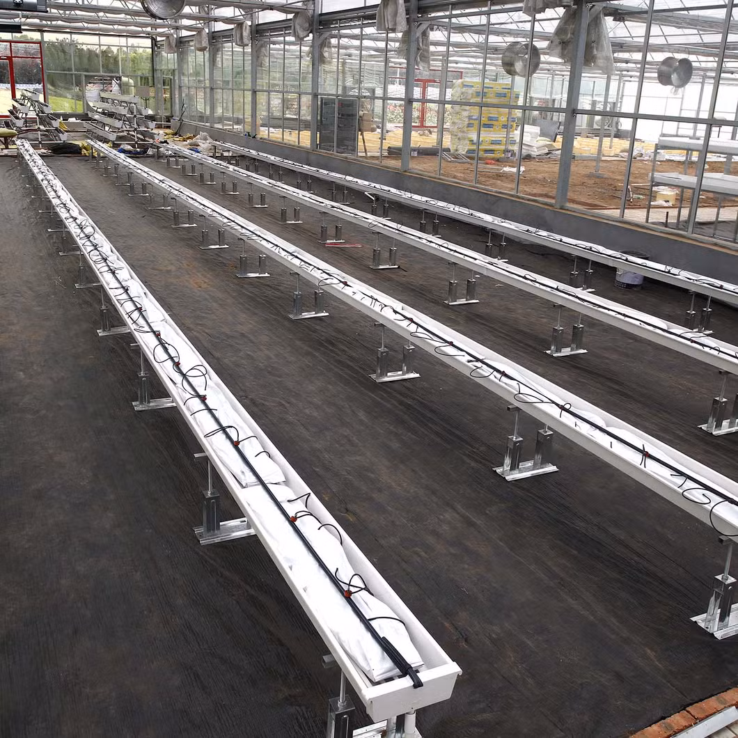 Industrial Steel Structure Warehouse Greenhouse Workshop Factory