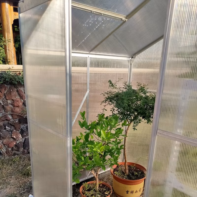 PC Polycarbonate Sheet Outdoor Green Houses Aluminum Frame Garden Greenhouse