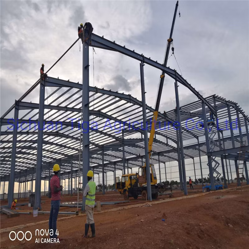 Henan Storage Polycarbonate Greenhouse Prefabricated Steel Structure Farm Plant for Chicken