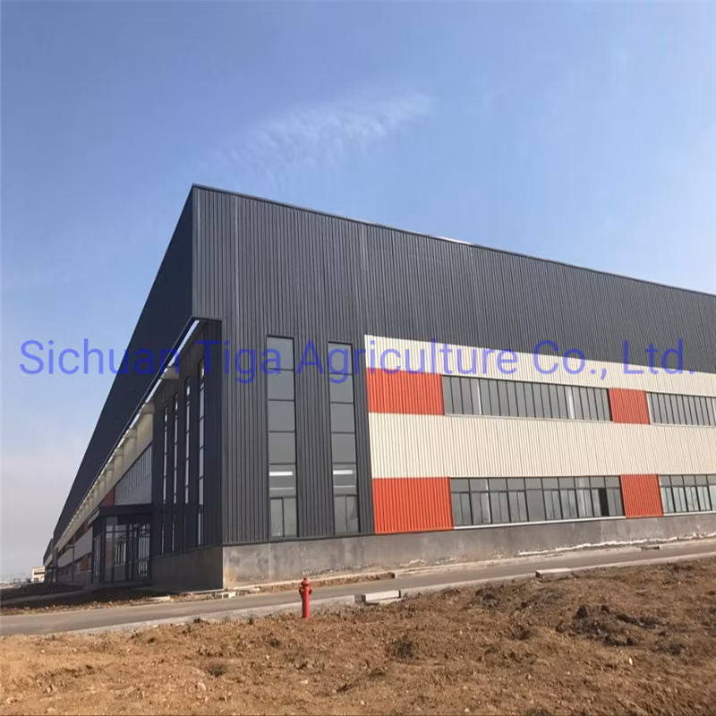 Henan Storage Polycarbonate Greenhouse Prefabricated Steel Structure Farm Plant for Chicken