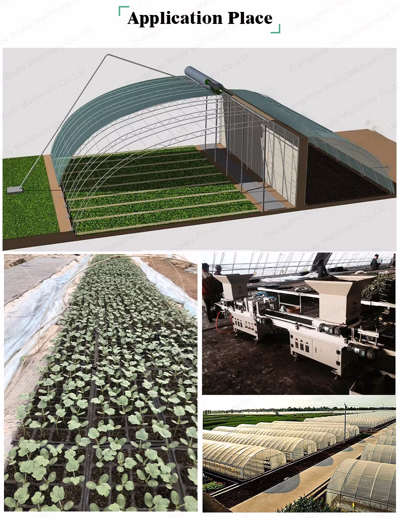 Greenhouse Vegetable Onion Tomato Seed Tray Seeder Nursery Planting Machine