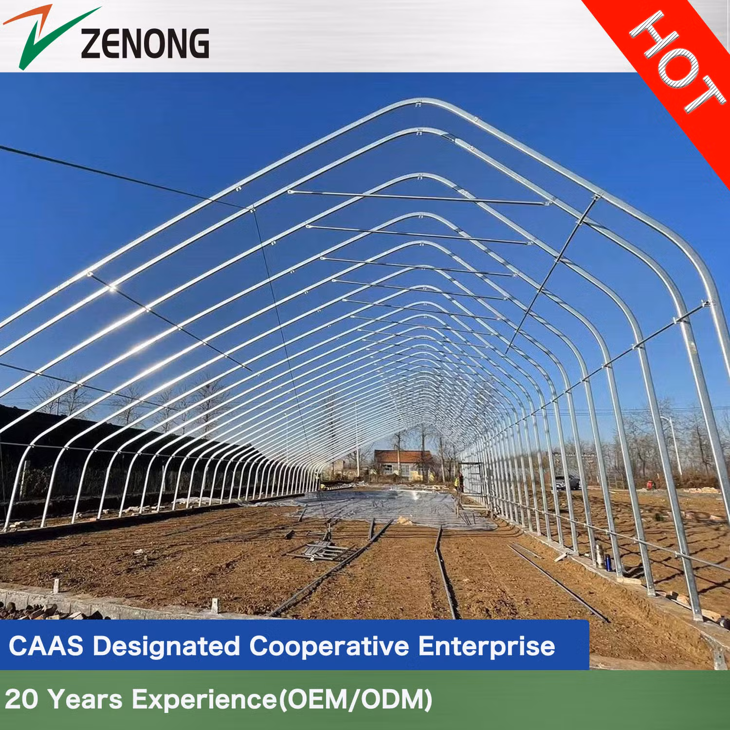 Tomato/Cucumber Sunlight <a href='/greenhouse/'>Greenhouse</a>s with Active Heat Absorbing and Releasing Function for Winter Vegetable/Flower/Hydroponics Culture
