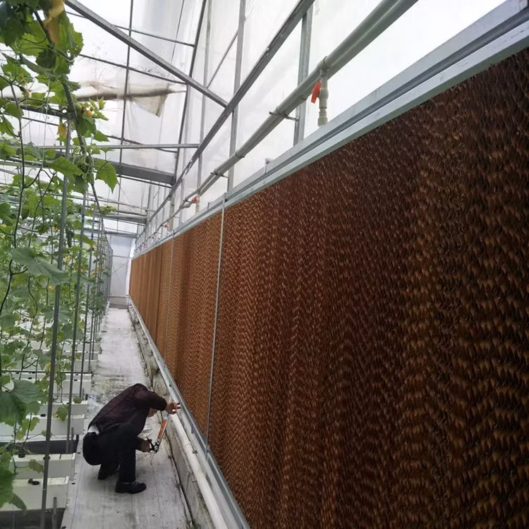 Cheap Price Customizable Commercial Greenhouse Horticulture Farm Facilities Equipment Air Conditioner Wet Curtin Xinhe