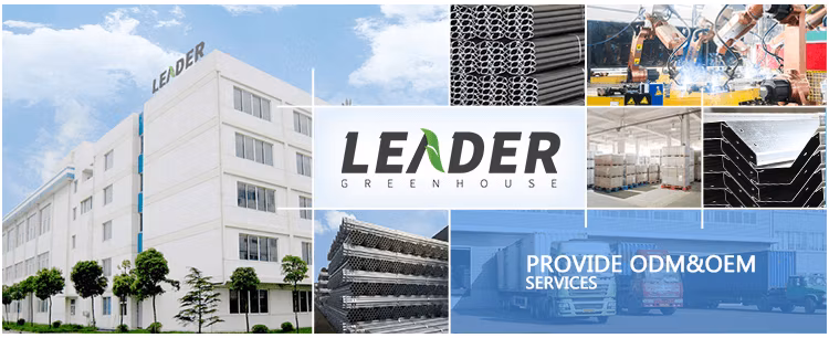 Galvanized Material Frame Single-Span Tunnel Greenhouse