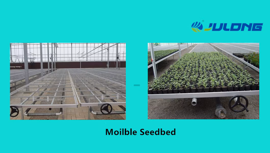 2019 Multi-Span Polycarbonate Sheet Greenhouse in Farm Garden Agriculture Planting Growing Nursery