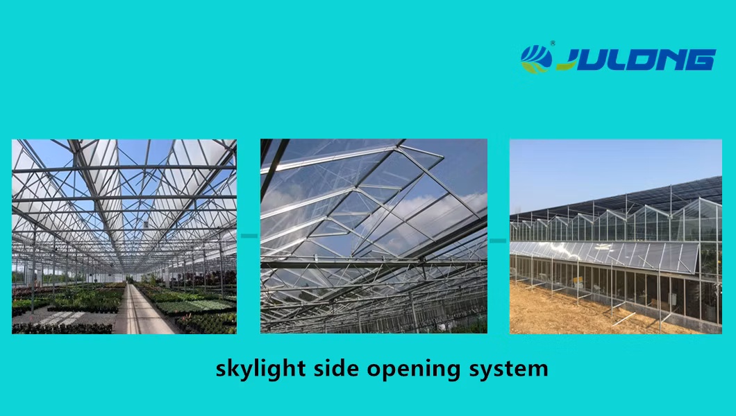 2019 Multi-Span Polycarbonate Sheet Greenhouse in Farm Garden Agriculture Planting Growing Nursery