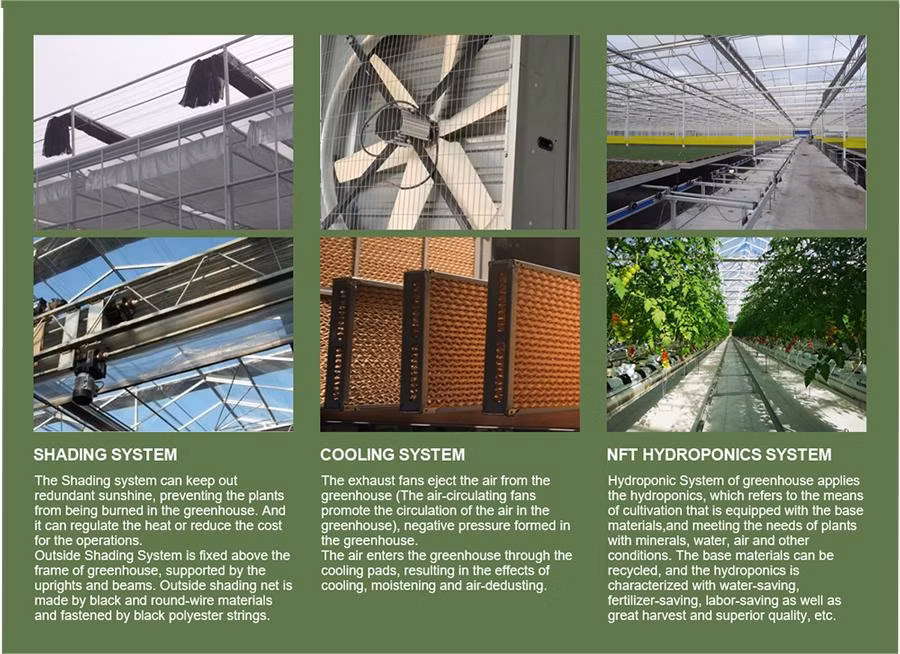 Agricultural Greenhouse for Multi-Season Farming with Smart Climate Control Greenhouse