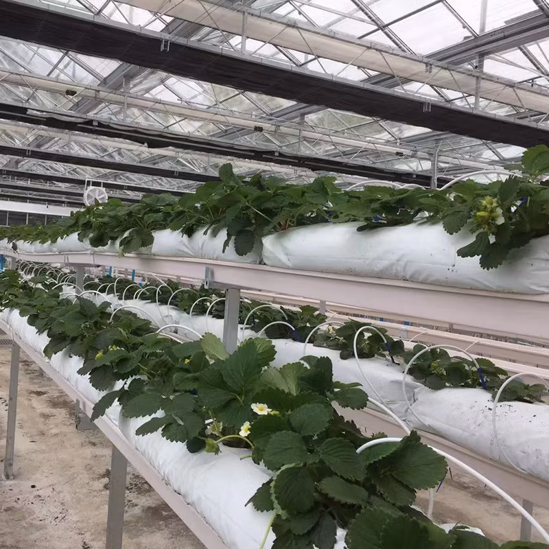 Hydroponic Gutter Nft Channel System Growing Bag Gutters Strawberries PVC Gutter