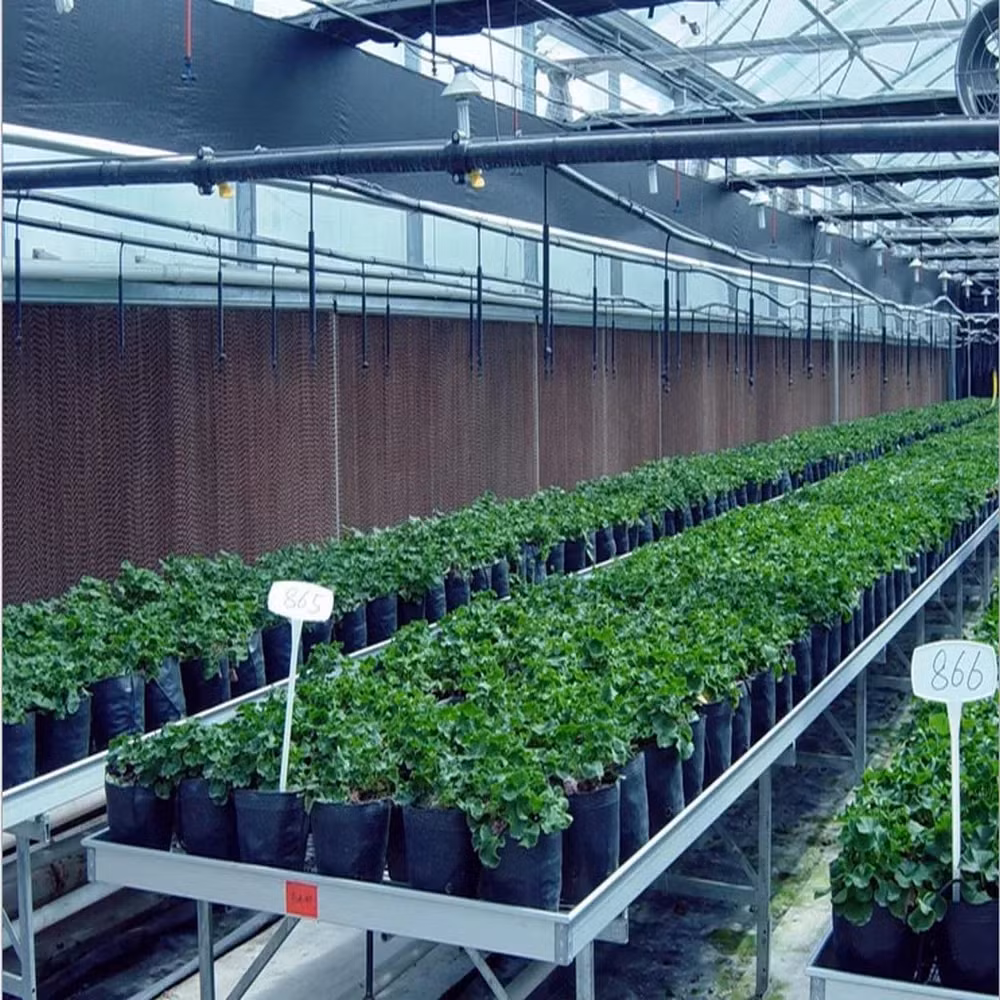Cheap Price Customizable Commercial Greenhouse Horticulture Farm Facilities Equipment Air Conditioner Wet Curtin Xinhe
