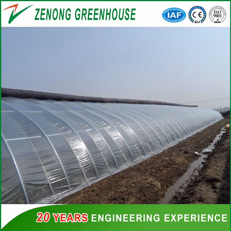 China Shouguang Facotry Direct Supply Single Span Film Covered Self-Heated Greenhouse for Sale