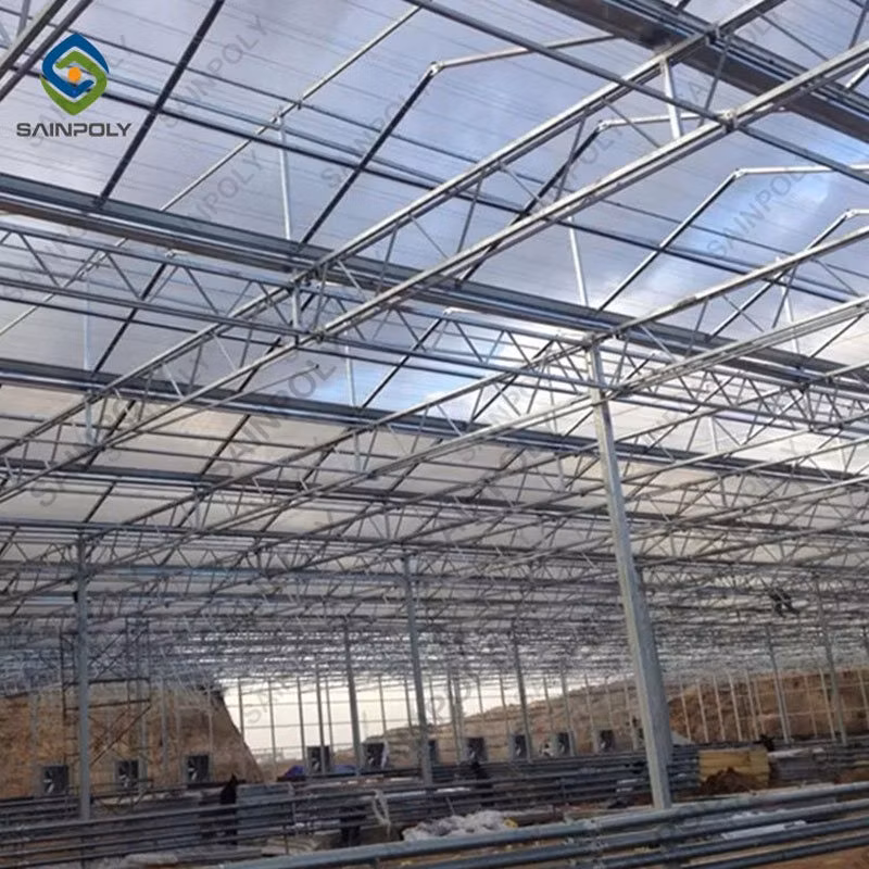 Chinese Smart Tomato Greenhouse with Tomato System for Sale