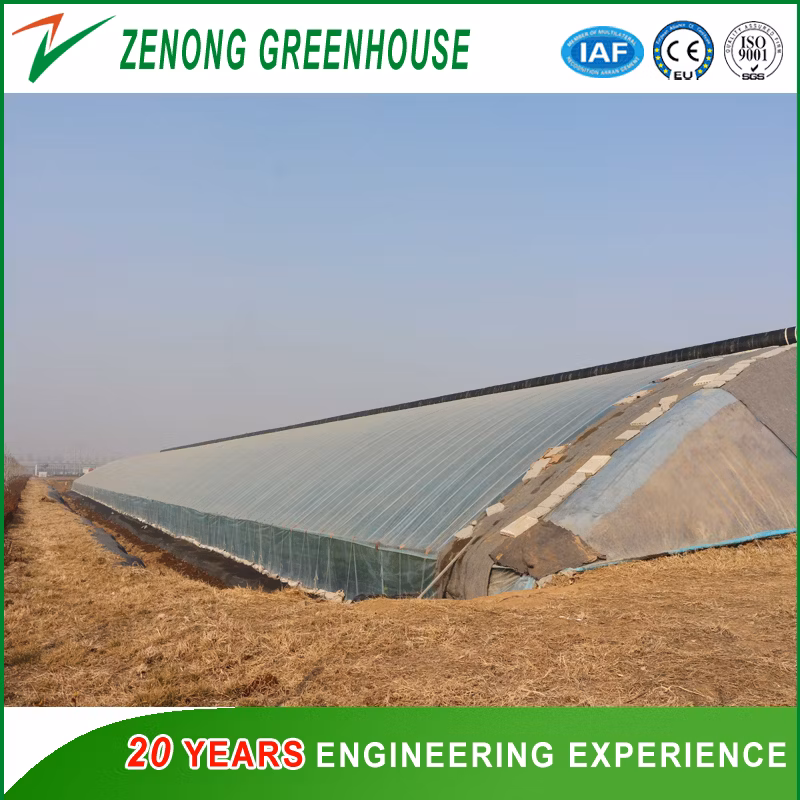 China Shouguang Facotry Direct Supply Single Span Film Covered Self-Heated Greenhouse for Sale