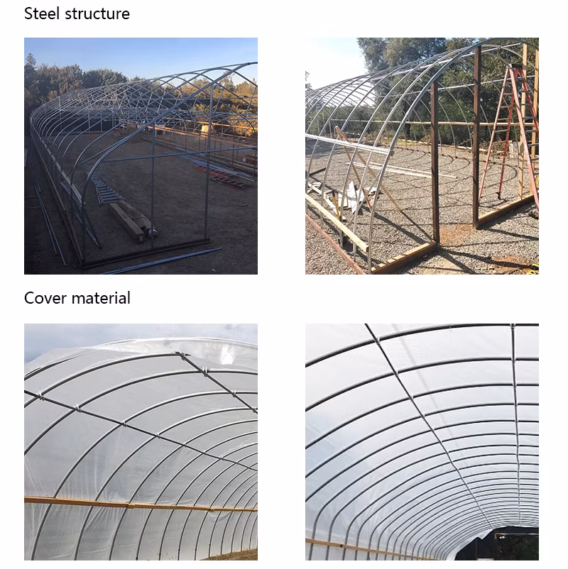 Agricultural 30X100FT Single-Span Type Tunnel Greenhouses