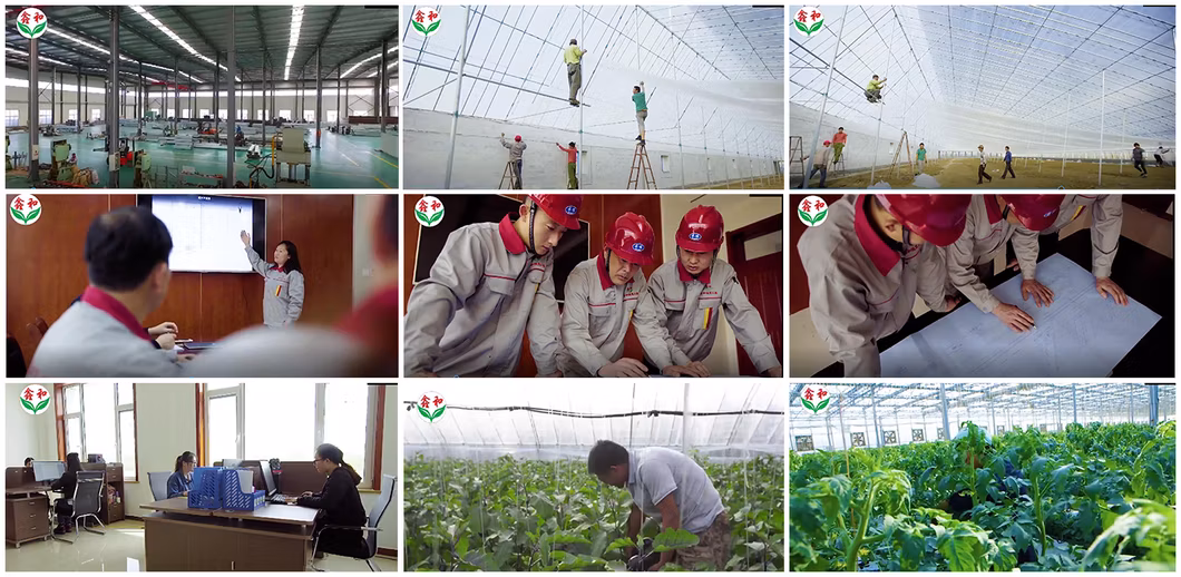 Customized Glass Horticulture Multi Span Agricultural Tunnel Intelligent Flower House Hydroponics System Greenhouse