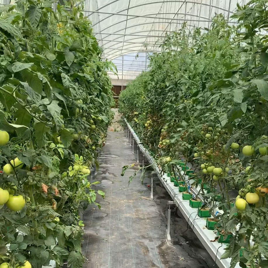 Hydroponic Gutter Nft Channel System Growing Bag Gutters Strawberries PVC Gutter