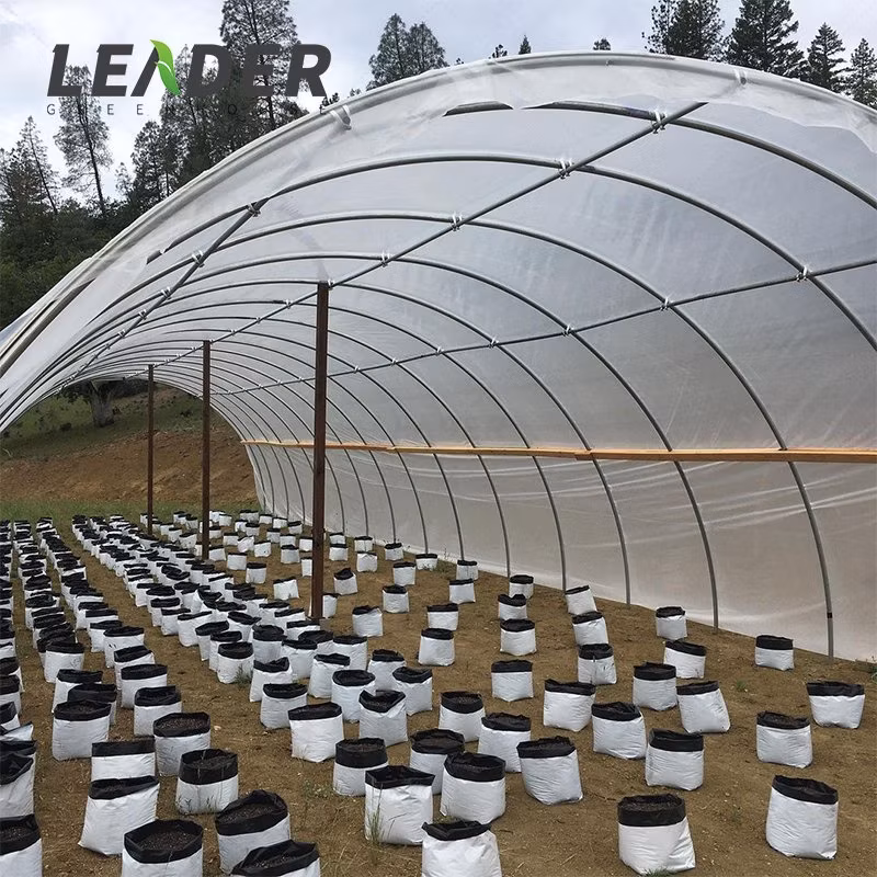 Agricultural 30X100FT Single-Span Type Tunnel Greenhouses