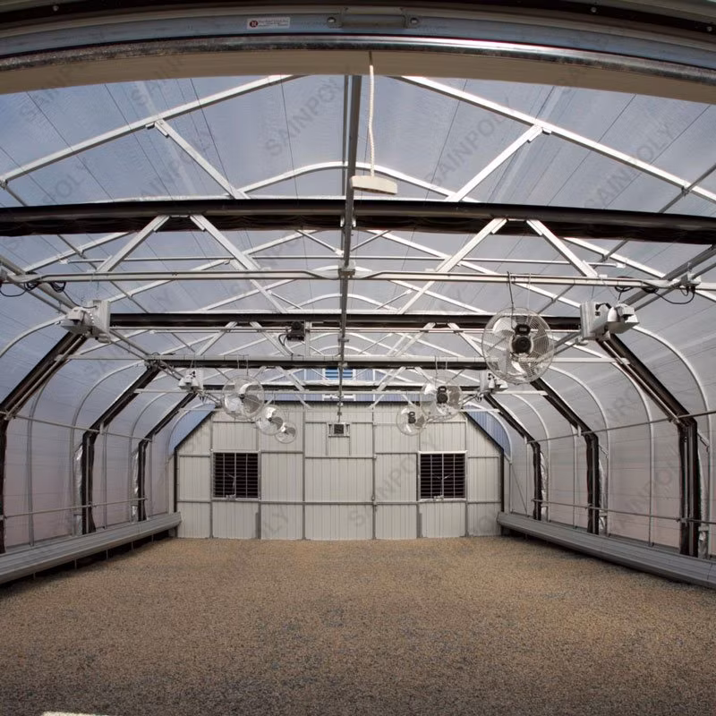 Chinese Smart Tomato Greenhouse with Tomato System for Sale