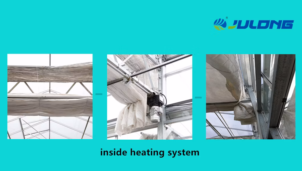 2019 Multi-Span Polycarbonate Sheet Greenhouse in Farm Garden Agriculture Planting Growing Nursery