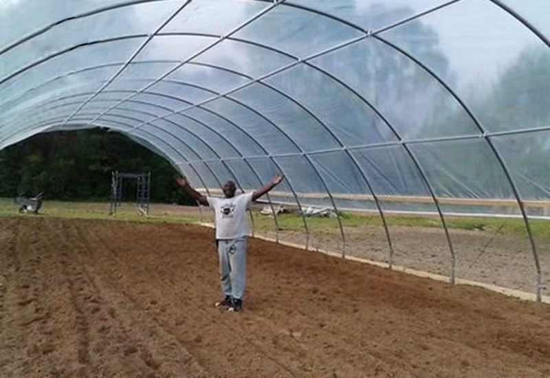 Chinese Smart Tomato Greenhouse with Tomato System for Sale