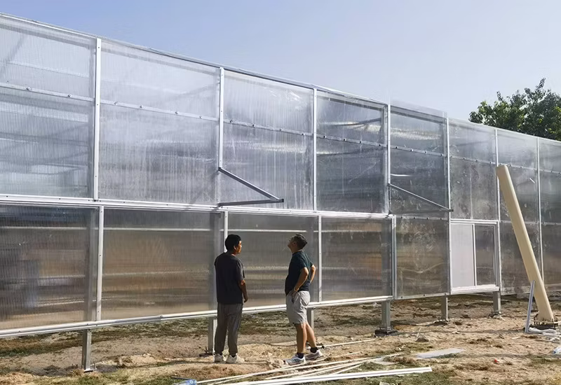 Chinese Smart Tomato Greenhouse with Tomato System for Sale