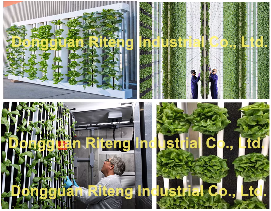 High Quality Hydroponics Greenhouse Growing System Planting Trough