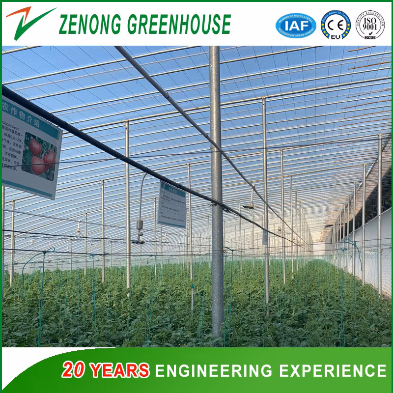China Shouguang Facotry Direct Supply Single Span Film Covered Self-Heated Greenhouse for Sale