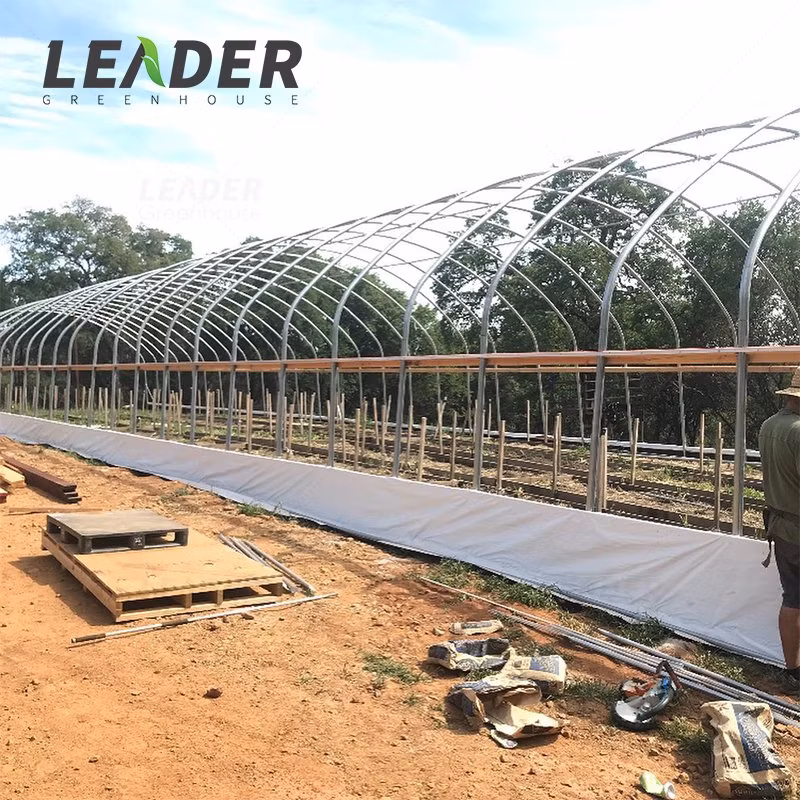 Galvanized Material Frame Single-Span Tunnel Greenhouse