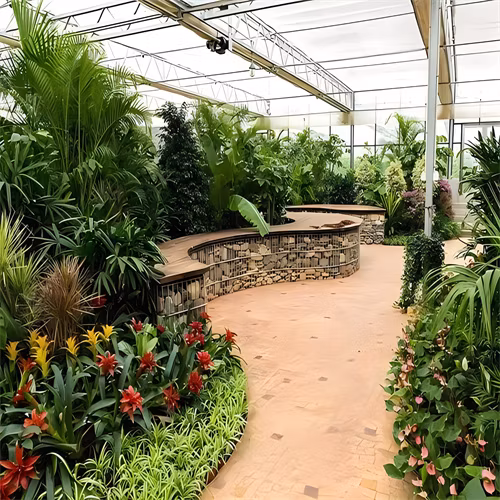 Agricultural Glass Greenhouse with Hydroponics Growing System and Greenhouse Construction