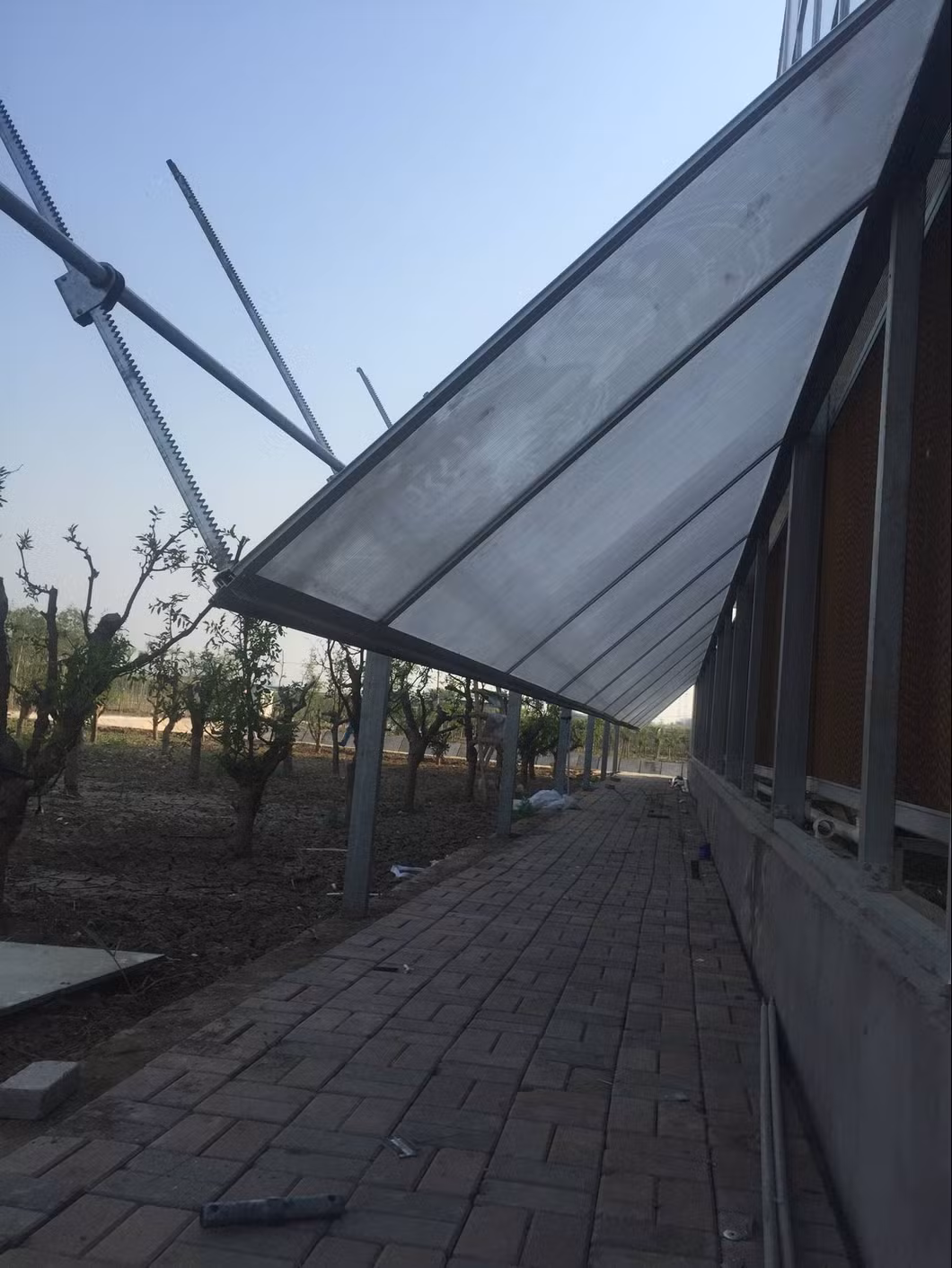 Chinese Smart Tomato Greenhouse with Tomato System for Sale