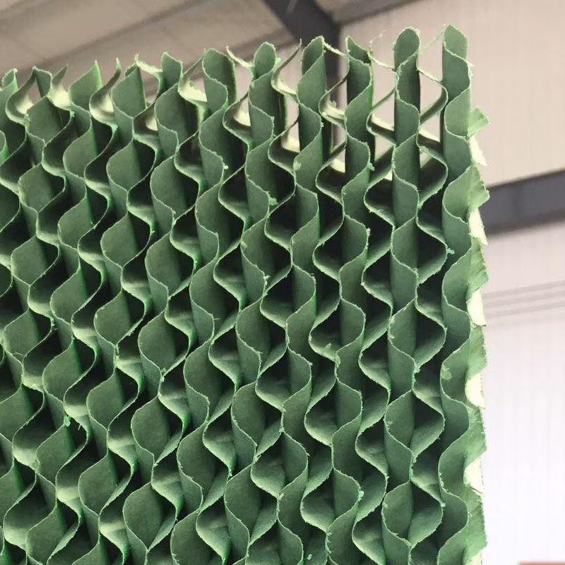 Cheap Price Customizable Commercial Greenhouse Horticulture Farm Facilities Equipment Air Conditioner Wet Curtin Xinhe