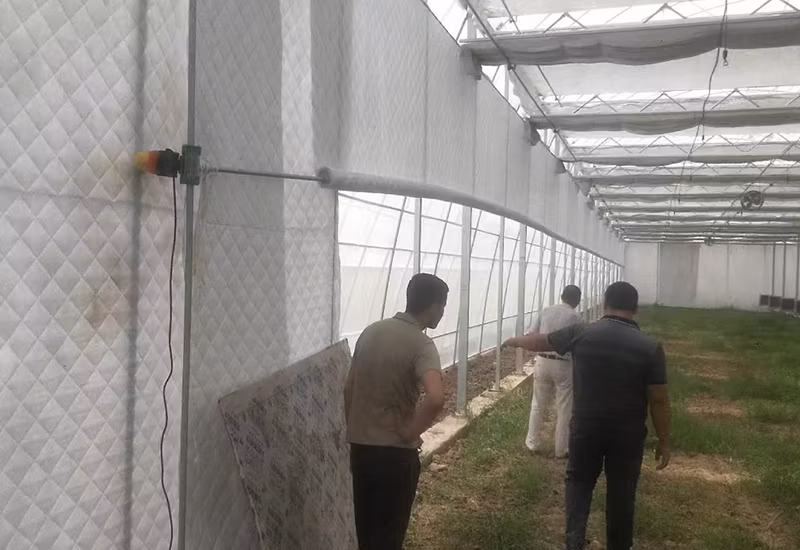 Chinese Smart Tomato Greenhouse with Tomato System for Sale