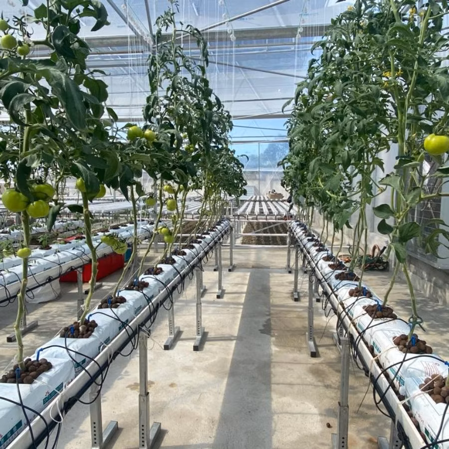 Hydroponic Gutter Nft Channel System Growing Bag Gutters Strawberries PVC Gutter