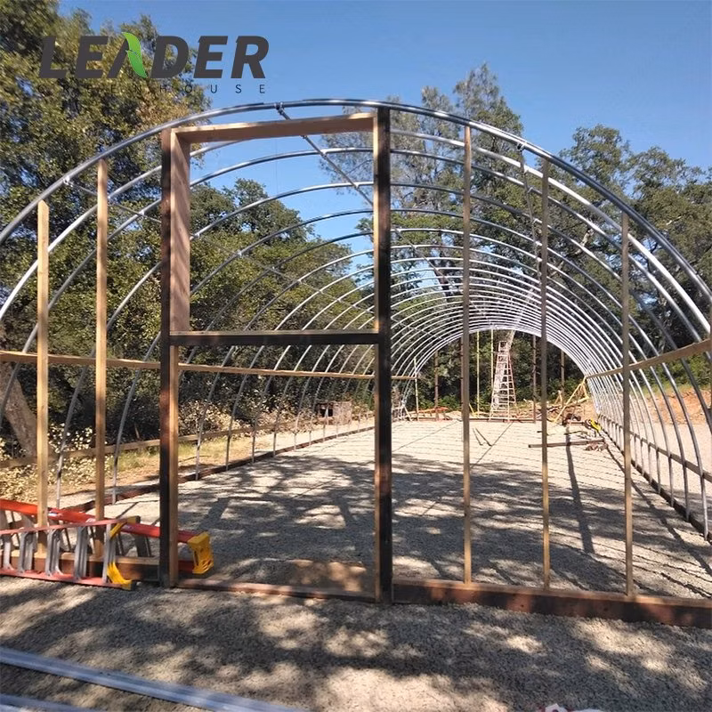 Galvanized Material Frame Single-Span Tunnel Greenhouse