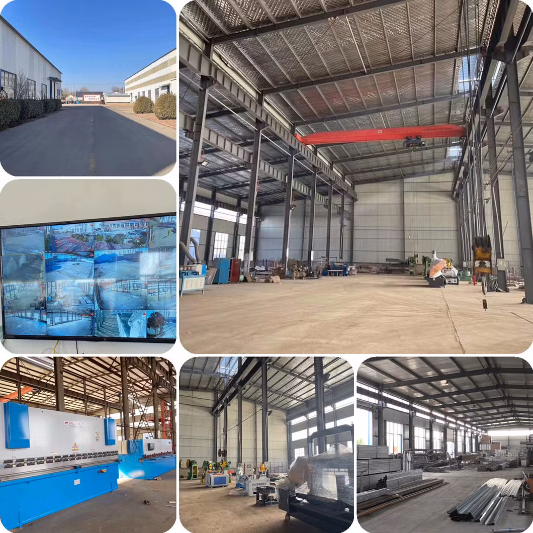 Greenhouse Direct Supply by The Factory with Active Solar Energy Absorbing and Releasing for Winter Vegetable/Flower/Strawberry/Tomato/Cucumber Culture