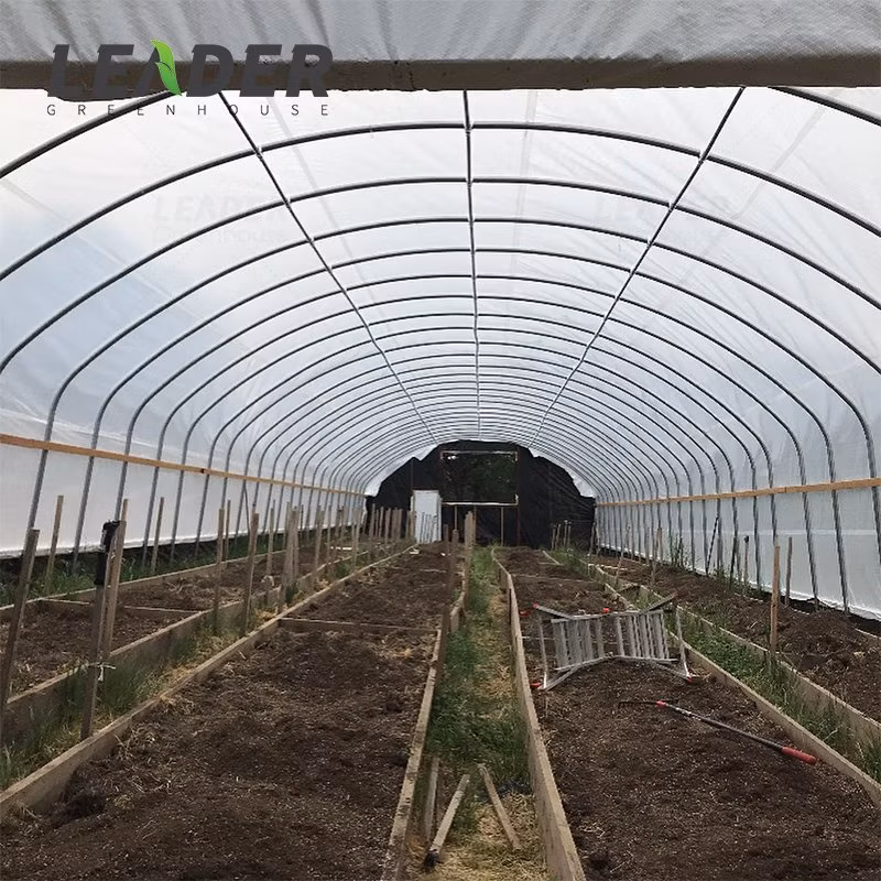 Agricultural 30X100FT Single-Span Type Tunnel Greenhouses