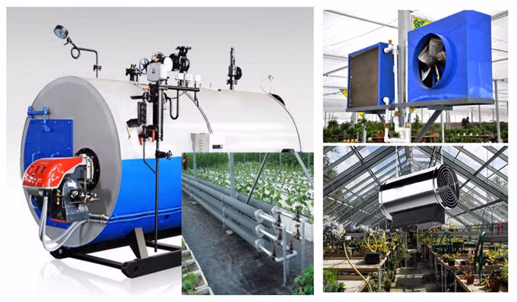 Chinese Smart Tomato Greenhouse with Tomato System for Sale