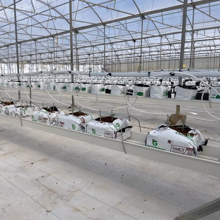 Hydroponic Gutter Nft Channel System Growing Bag Gutters Strawberries PVC Gutter