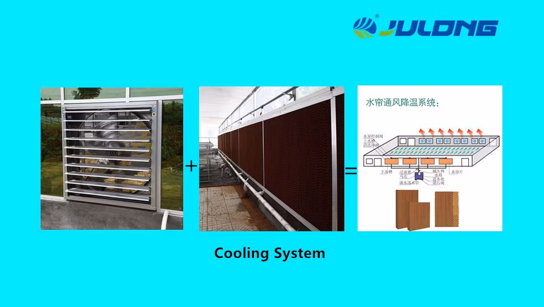 2019 Multi-Span Polycarbonate Sheet Greenhouse in Farm Garden Agriculture Planting Growing Nursery