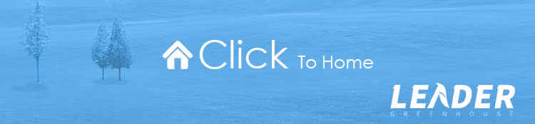 Agricultural 30X100FT Single-Span Type Tunnel Greenhouses