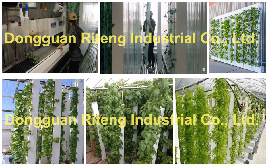 Smart Farming Hydroponic Trough for Greenhouse Production