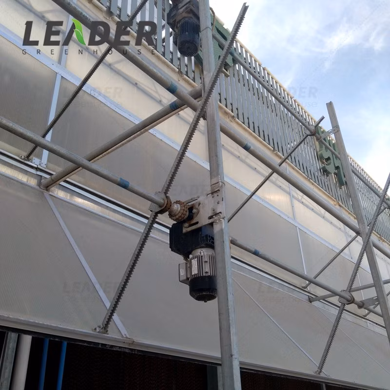 Greenhouse Accessories Glasshouse Sun Shading System Ventilation Rack and Pinion