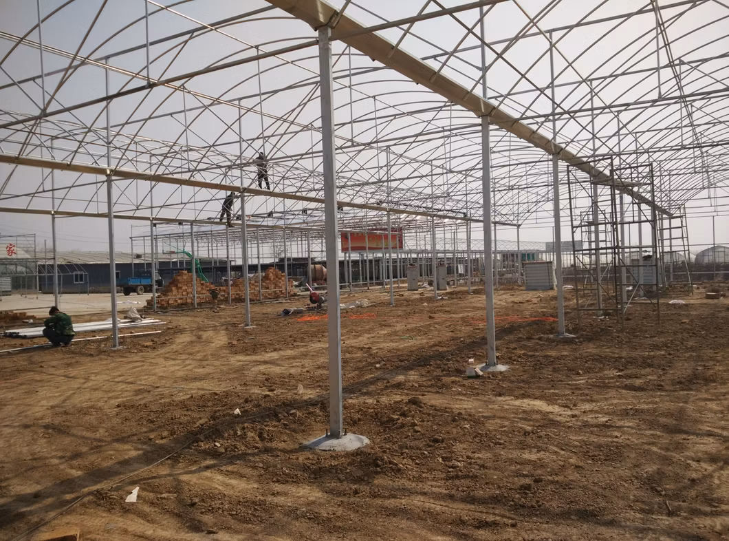 ISO9001 Modern Agriculture Greenhouse Single Span Tunnel Plastic Film Green House Dome Green House 500 Square Meters