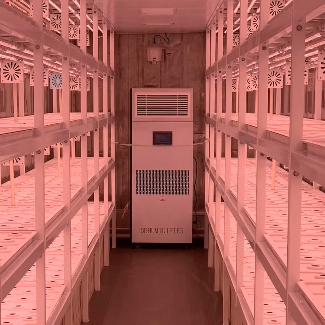 LED Light Container Farm Greenhouse for Efficient Hydroponic Seedling Growth