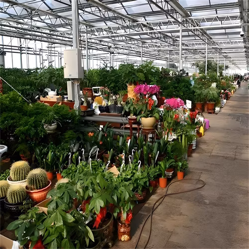 Commercial Prefab Multi-Span Tomato Venlo Glass Greenhouse Parts Hydroponic Growing Systems Used Green House Cost for Sale