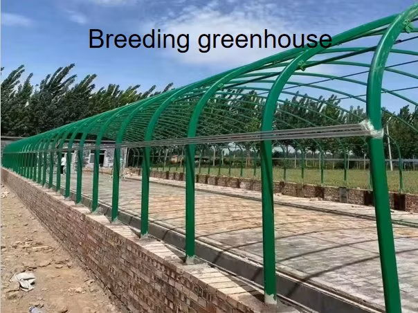Hot-DIP Galvanized Round Tube Is Warm in Winter and Cool in Summer for Breeding Shed