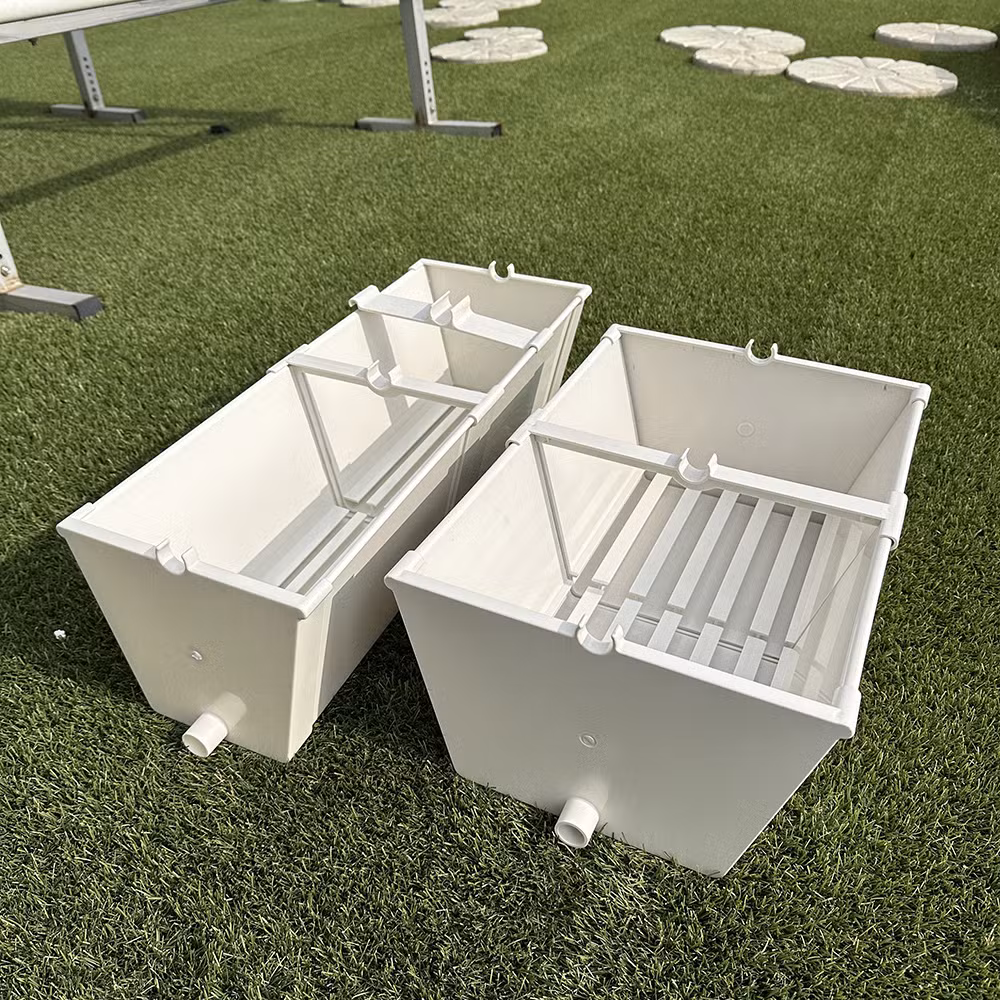 Automated Hydroponic System Plastic Shed Singlespan Greenhouse for Strawberry