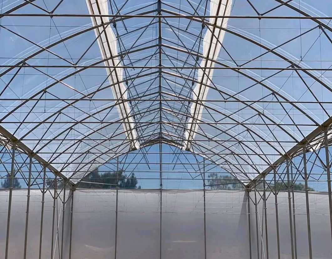 China Supplier Greenhouse Film Cover for Agriculture Rose Growing Equipped Climate Adjustment Systems
