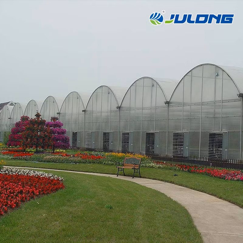 Agricultural Comercial Arched Type Polycarbonate Board/Sheet Greenhouse Multi-Span Greenhouse for Lettuce Tomato Cucumber