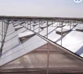 Strong Structure Galvanized Venlo Commerical Glass Green Houses