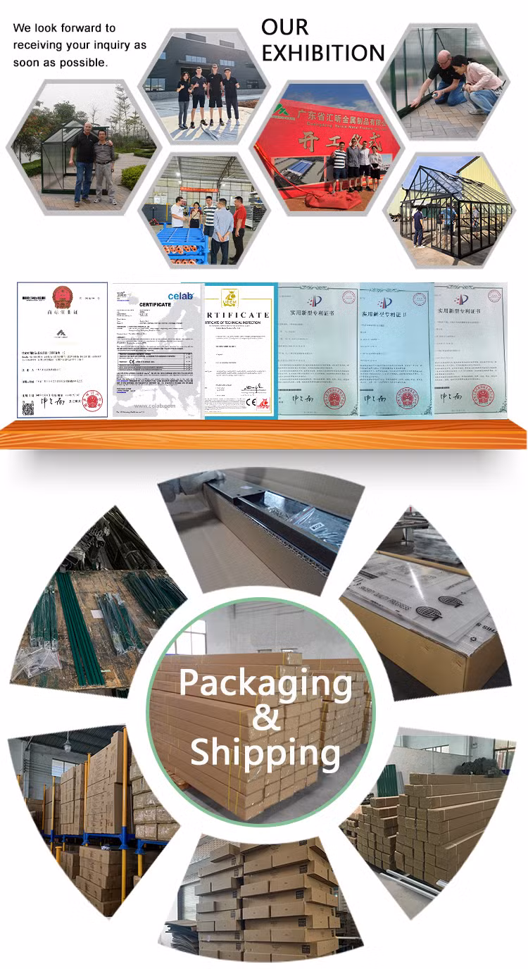 China Small Cost Glass Greenhouse Kits DIY Attached to House for Sale